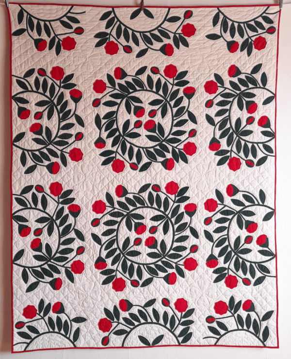 Les roses de Noël